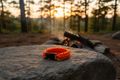 Paracord Braclet